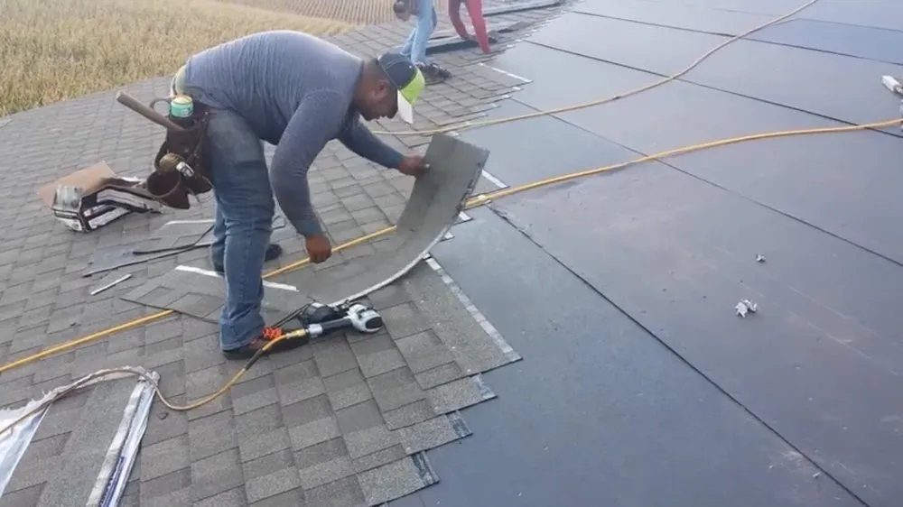 Slide of Banana Summer Time