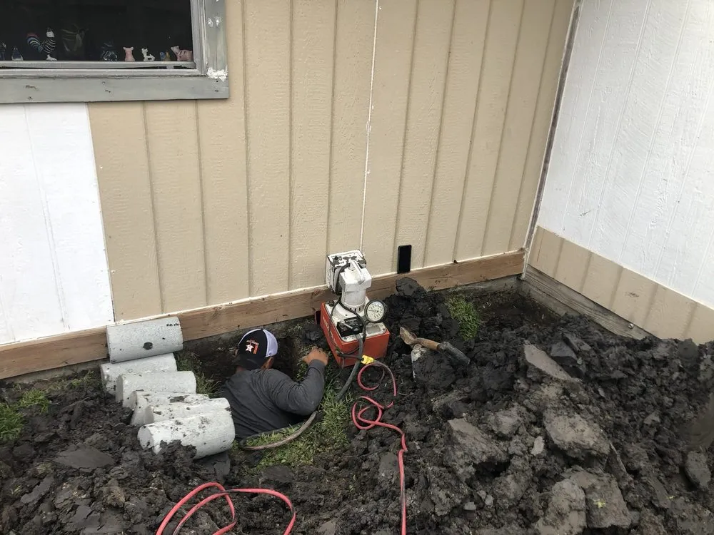 Slide of Banana Summer Time