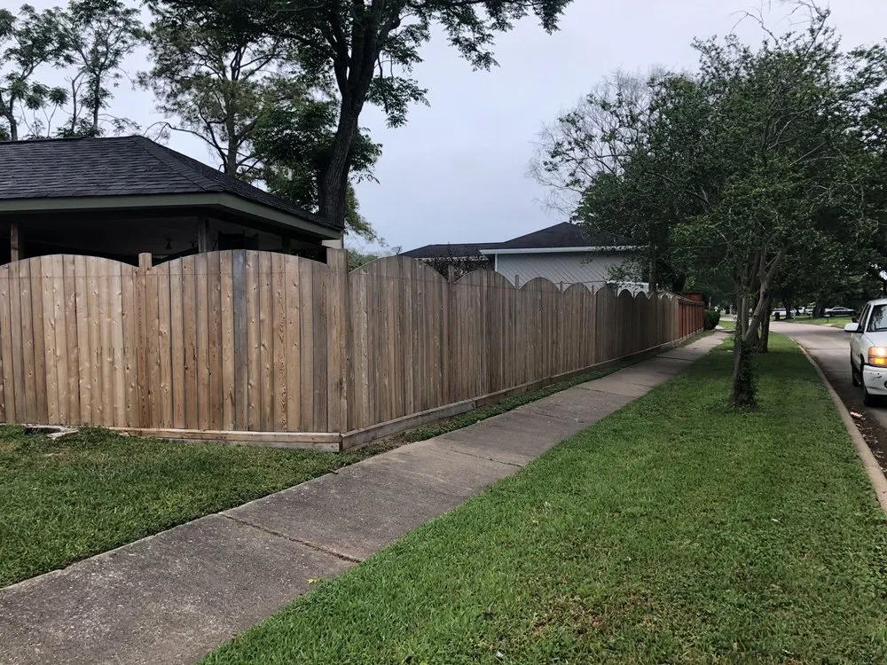 Slide of Banana Summer Time