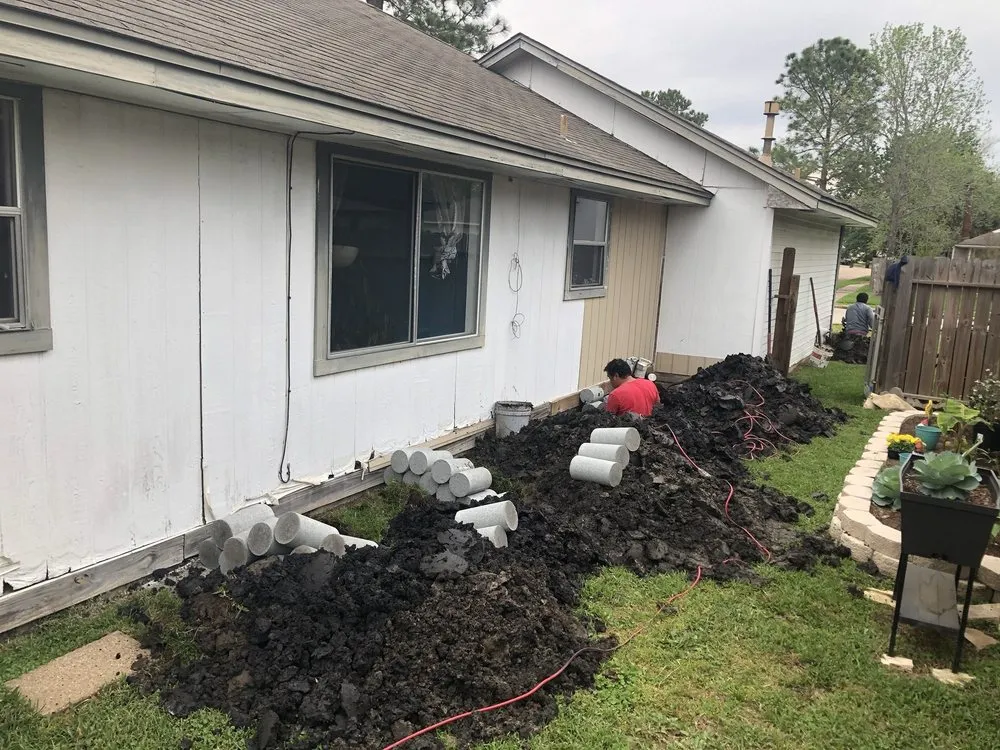 Slide of Banana Summer Time