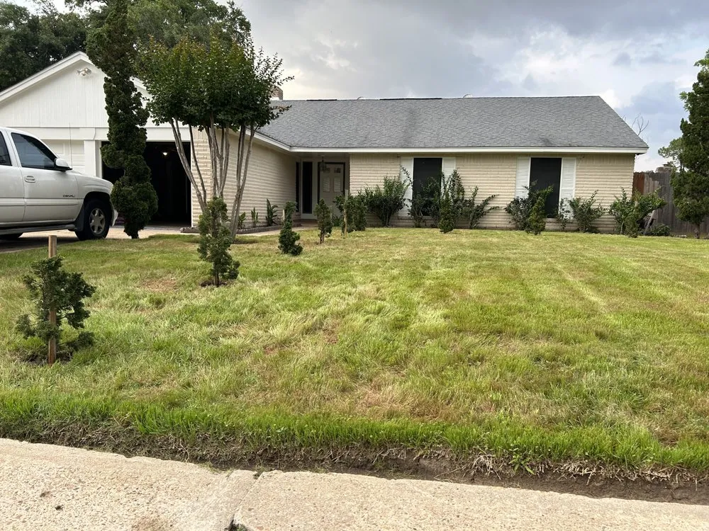 Slide of Banana Summer Time