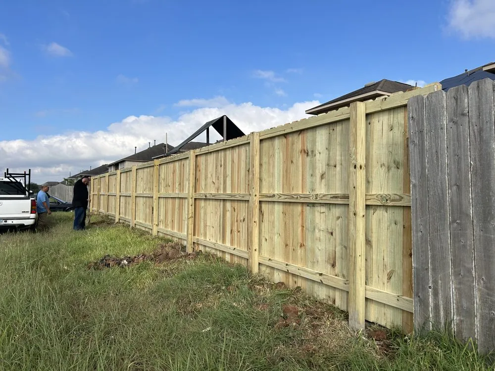 Slide of Banana Summer Time