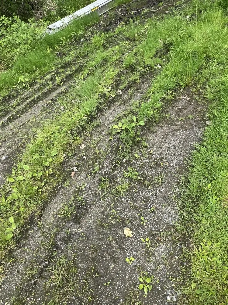 Slide of Bantam Wesson Energy