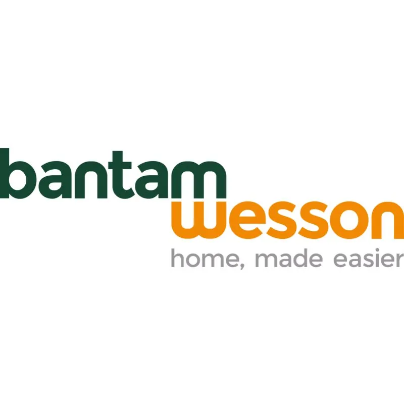Slide of Bantam Wesson Energy