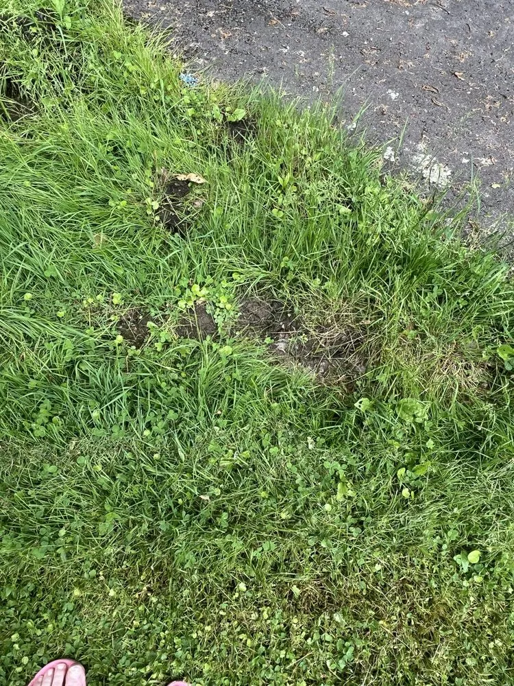 Slide of Bantam Wesson Energy