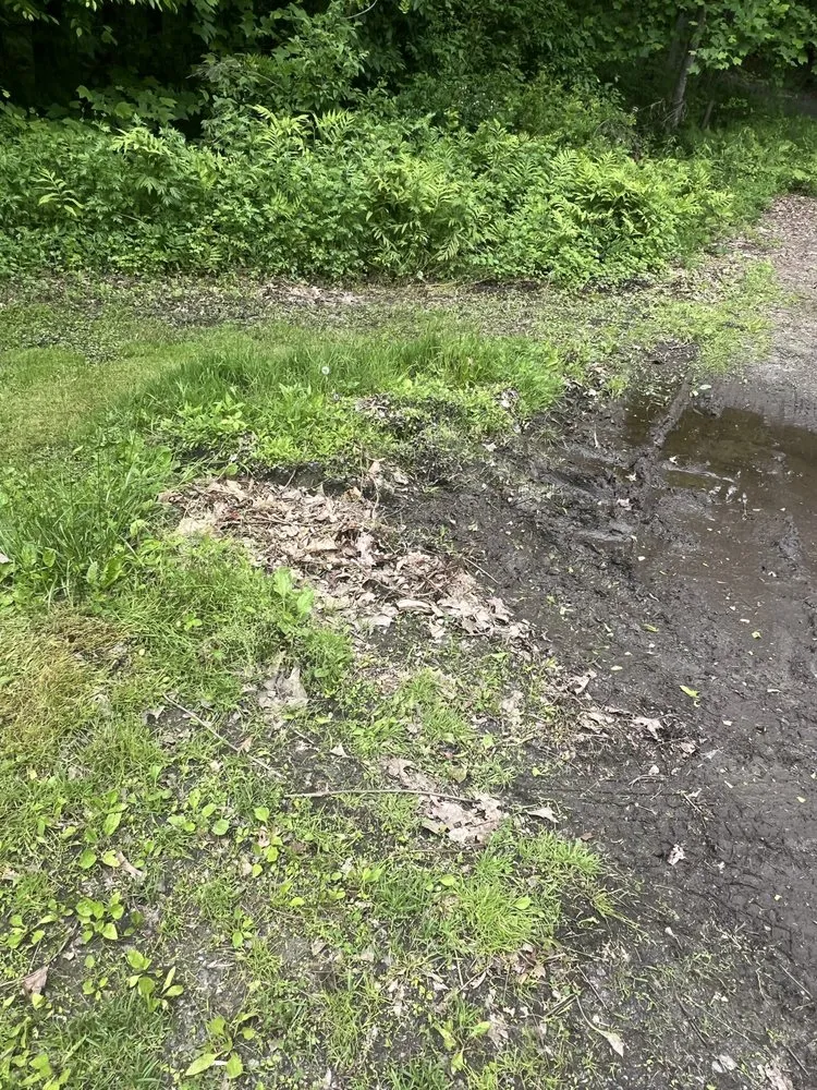 Slide of Bantam Wesson Energy