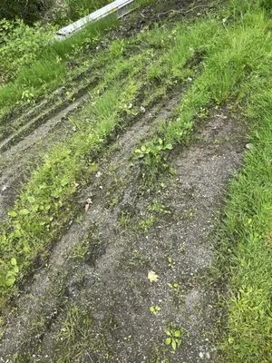 Bantam Wesson Energy Logo