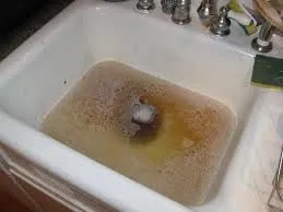 Slide of Bargain Rooter