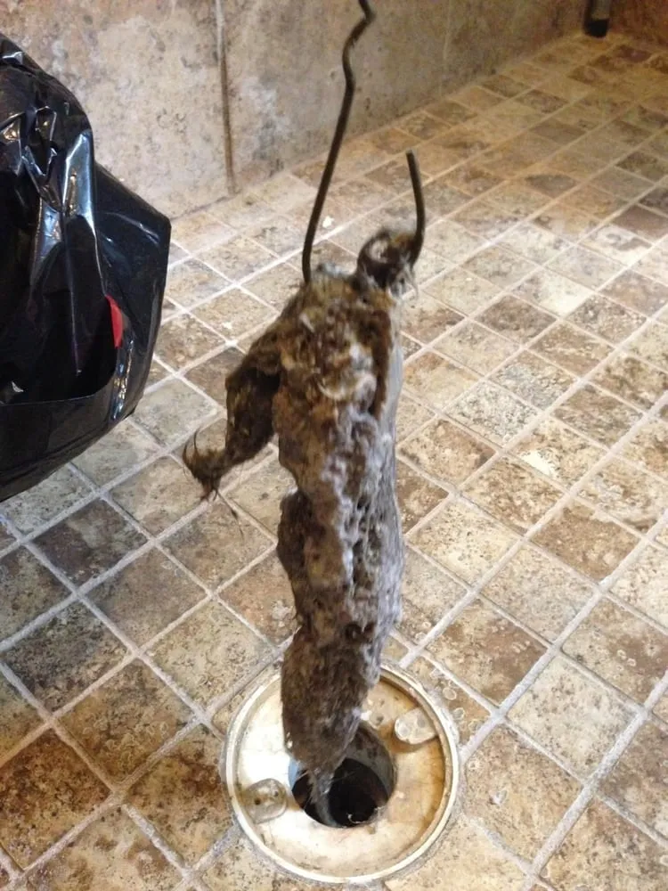 Slide of Bargain Rooter