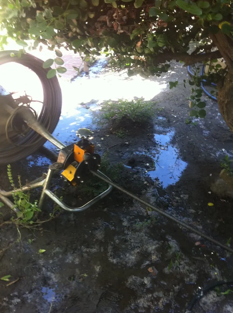 Slide of Bargain Rooter