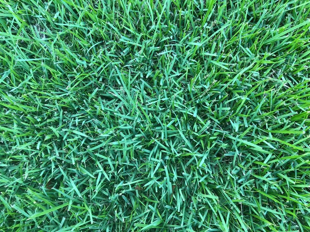 Slide of Barnett Irrigation Services