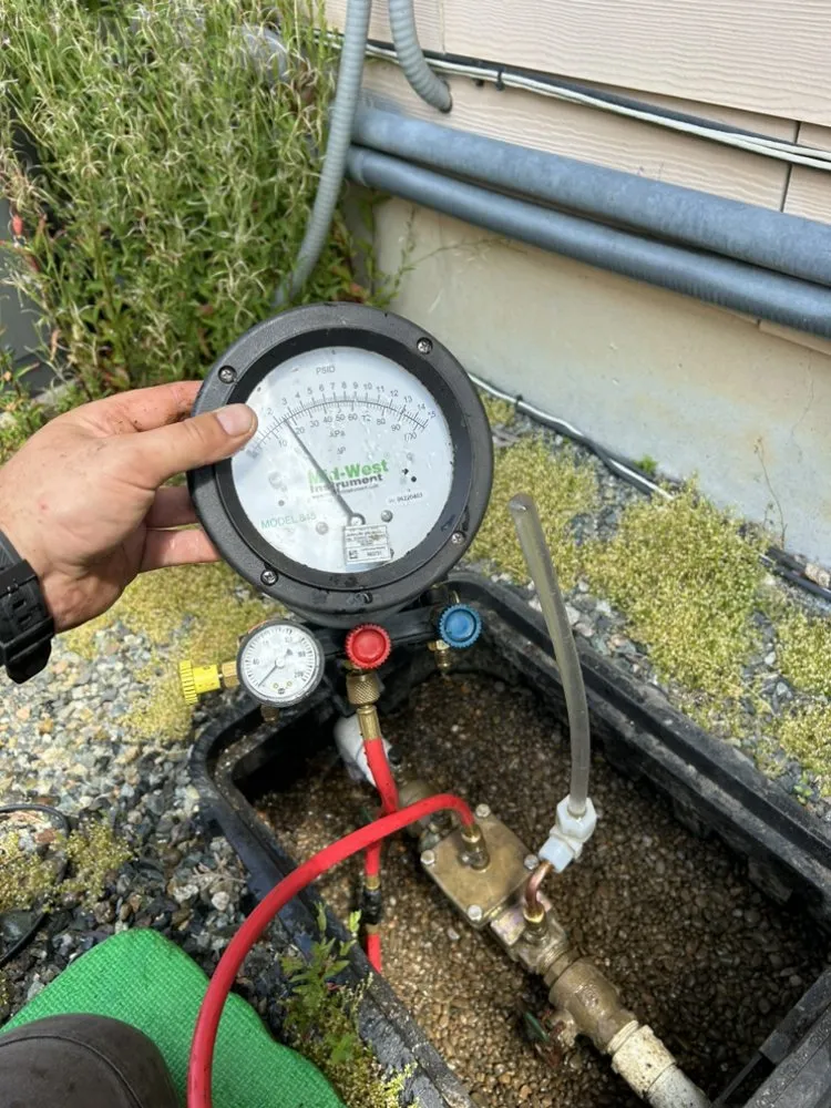 Slide of Baroumes Backflows