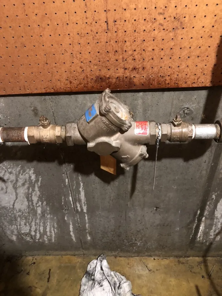 Slide of Baroumes Backflows