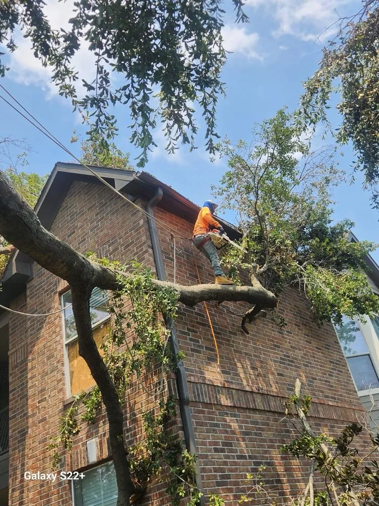 Slide of Barrantes Construction