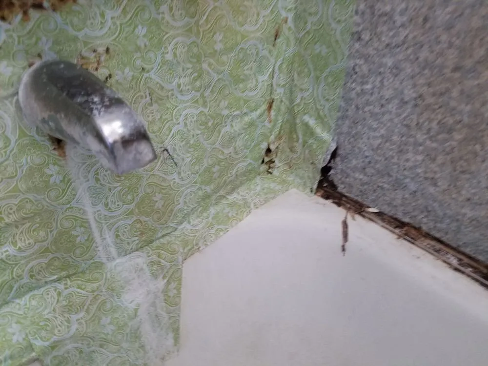 Slide of Baseline Industries