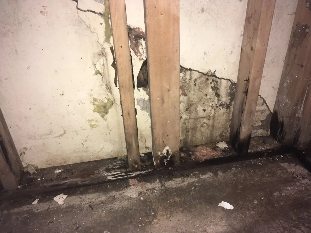 Slide of Basement Seepage Experts