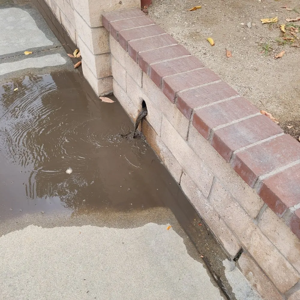 Slide of Basic Plumbing