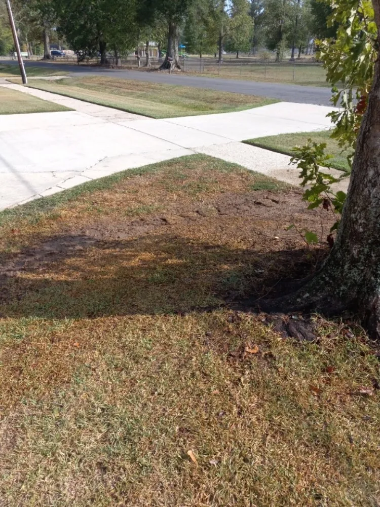 Slide of Basic Plumbing Repairs & Maintenance