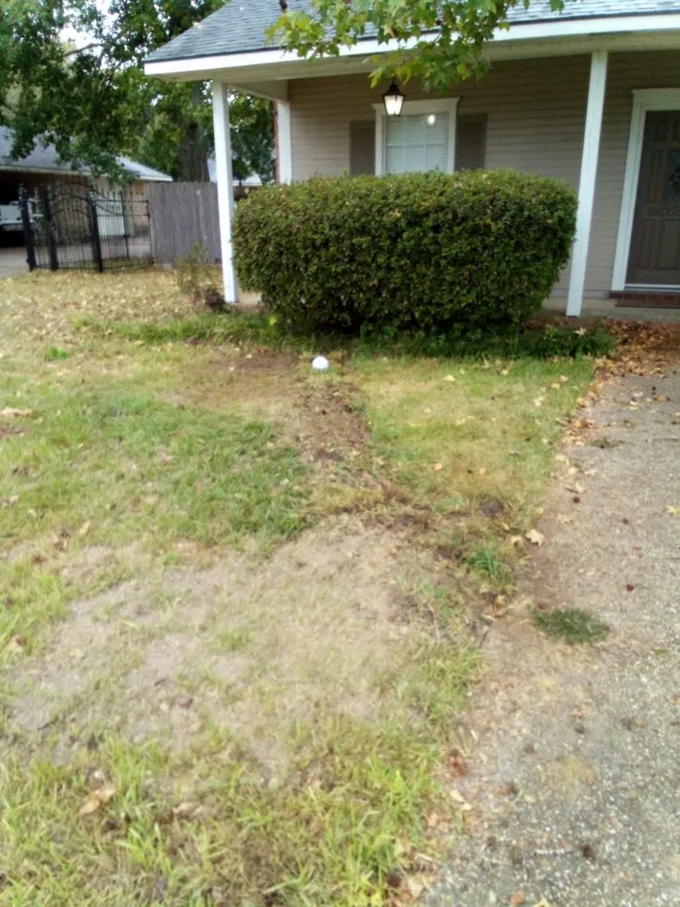 Slide of Basic Plumbing Repairs & Maintenance