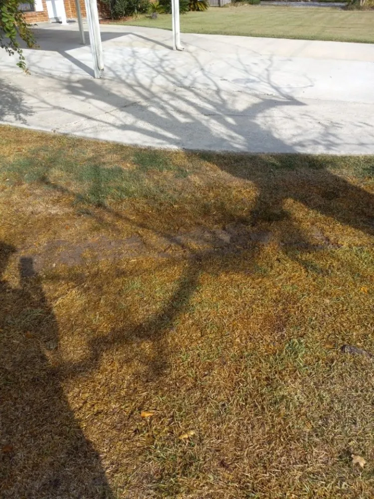 Slide of Basic Plumbing Repairs & Maintenance