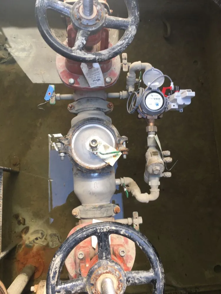 Professional leak detection in Redmond, WA by Batgirl Backflow Assembly Testing