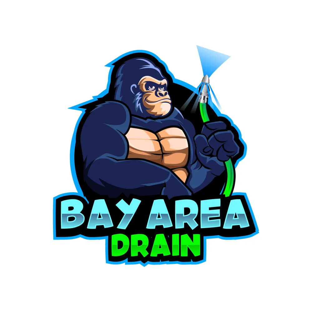 Slide of Bay Area Drain