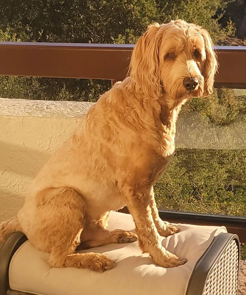 Slide of Bay Area Plumbing BAP