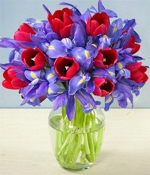 Slide of Bay Area Plumbing BAP