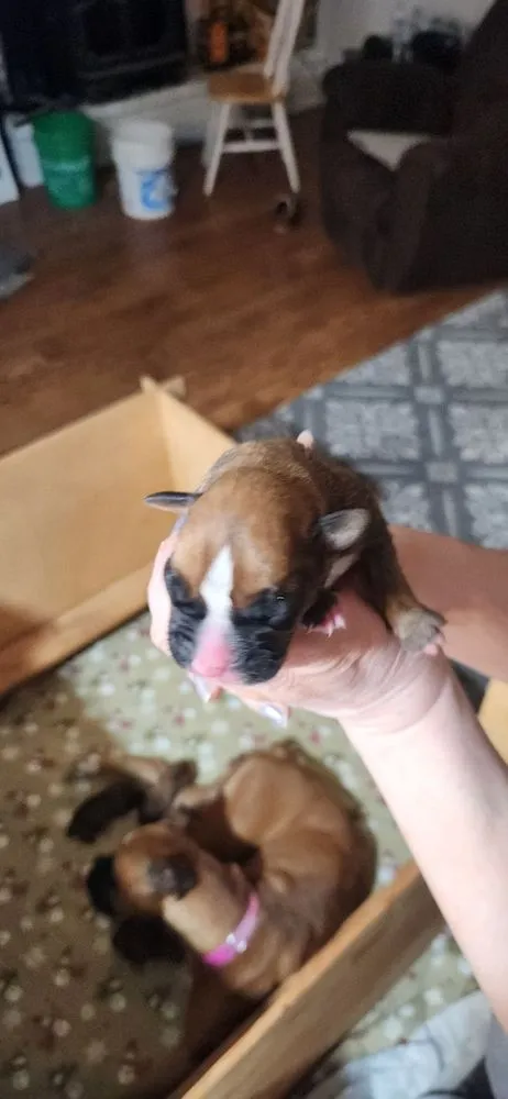 Slide of Bay Area Plumbing BAP