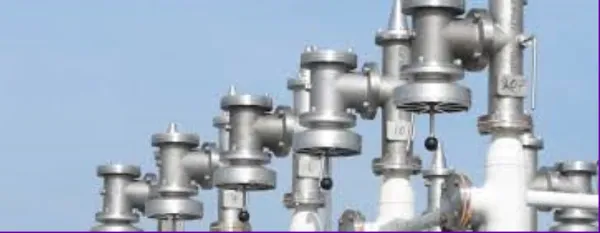 Slide of Bay Valve Service