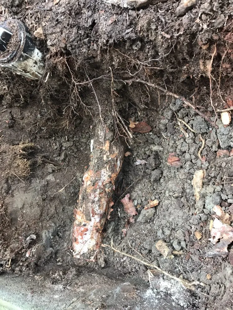 Affordable emergency plumbing in Virginia Beach, VA by Baybreeze Plumbing & Gas