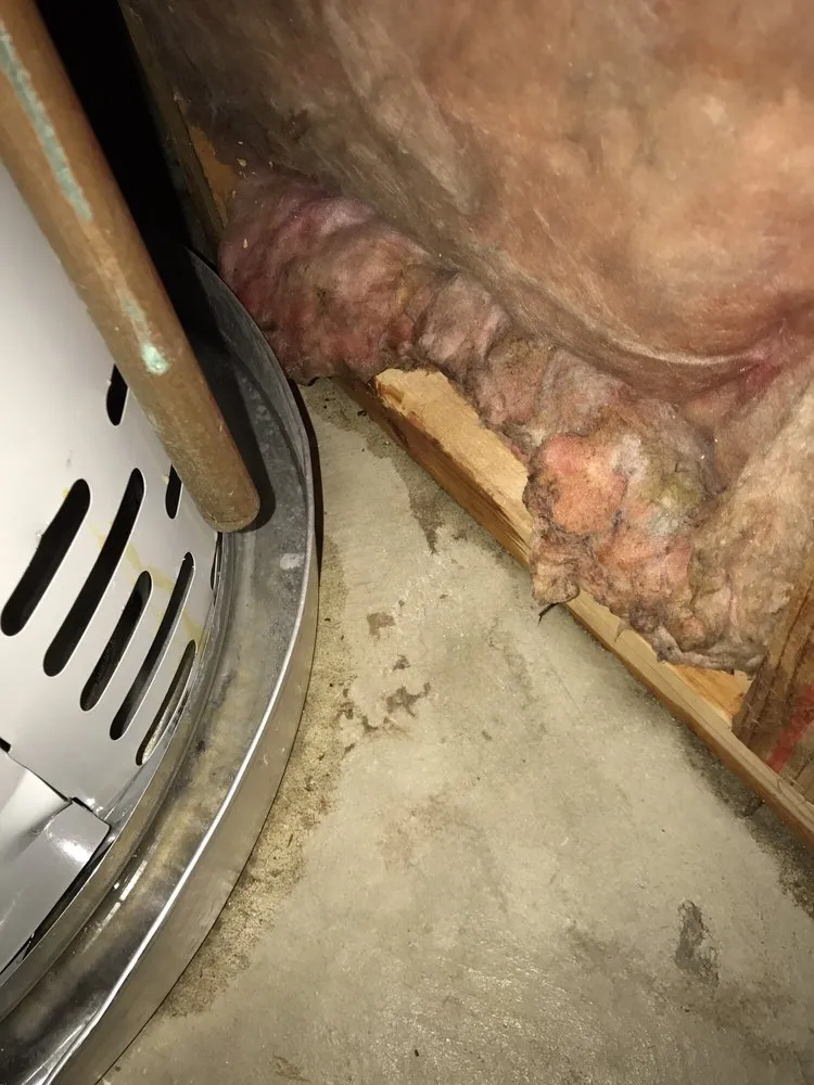 Slide of Bayless Plumbing Sewer & Drain