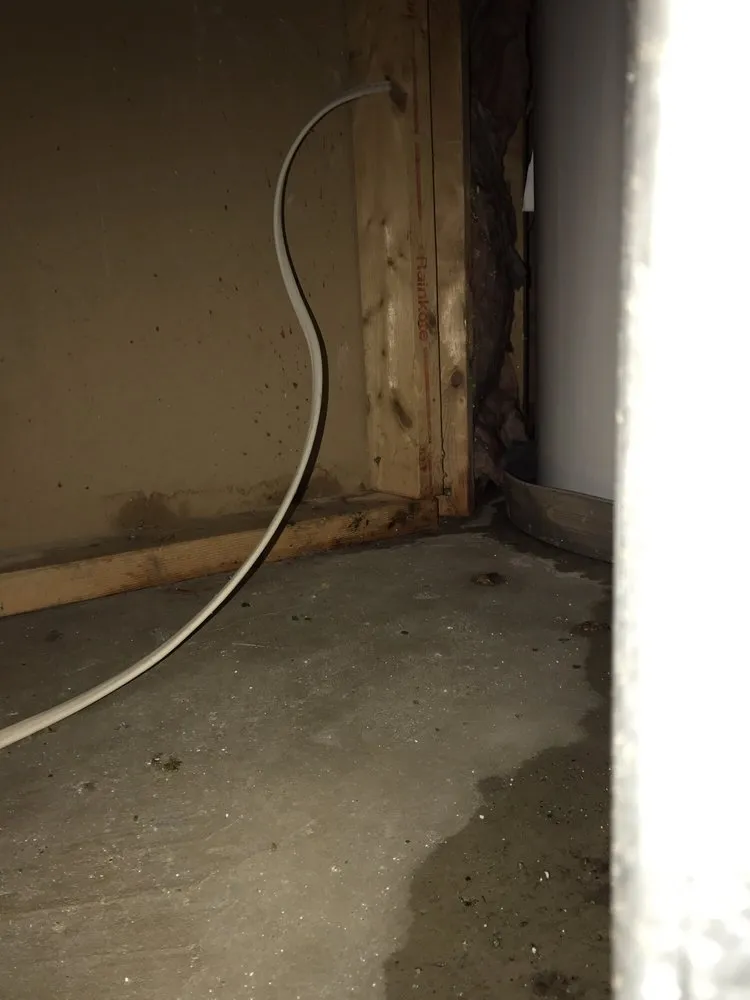 Slide of Bayless Plumbing Sewer & Drain