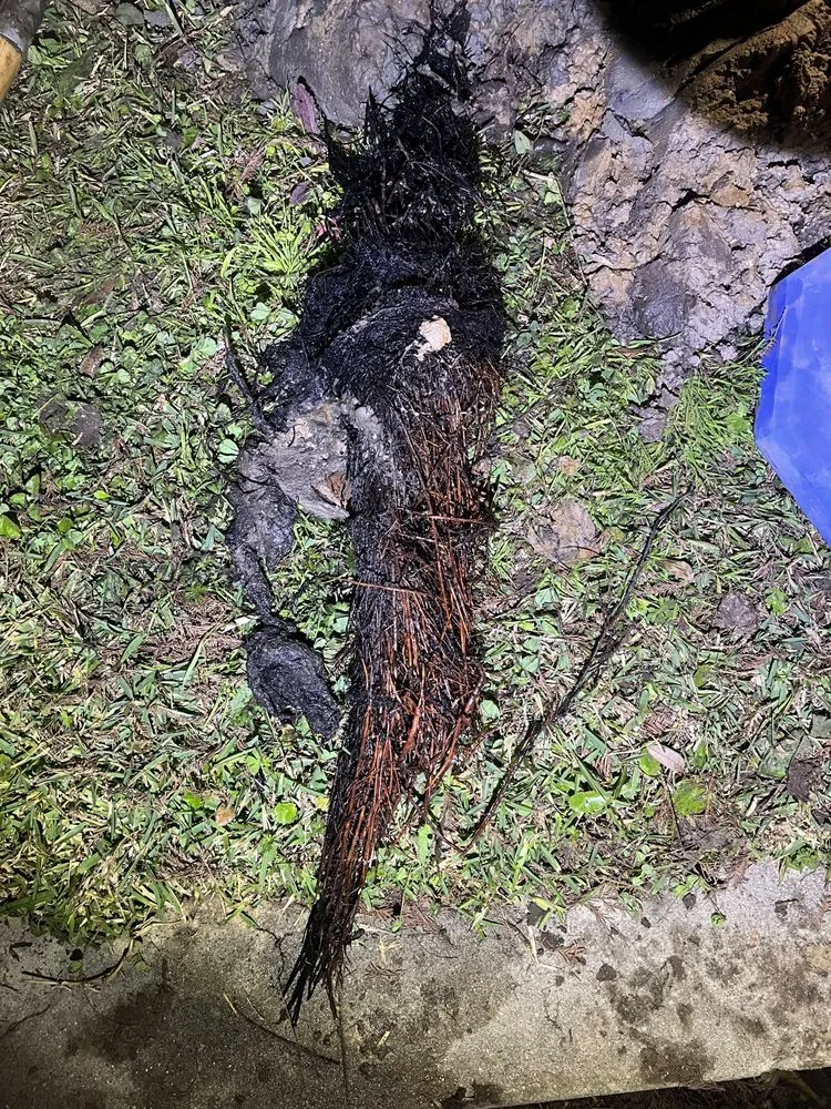 Slide of Bayou Plumbing Company