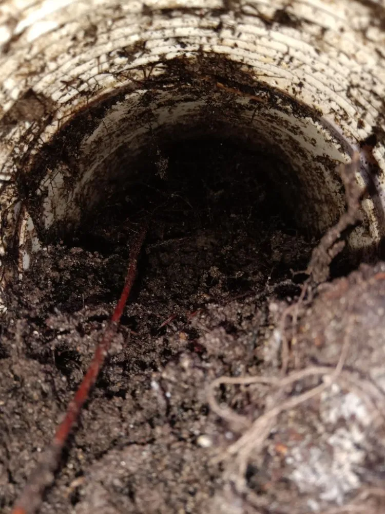 Slide of B&B Plumbing Repair