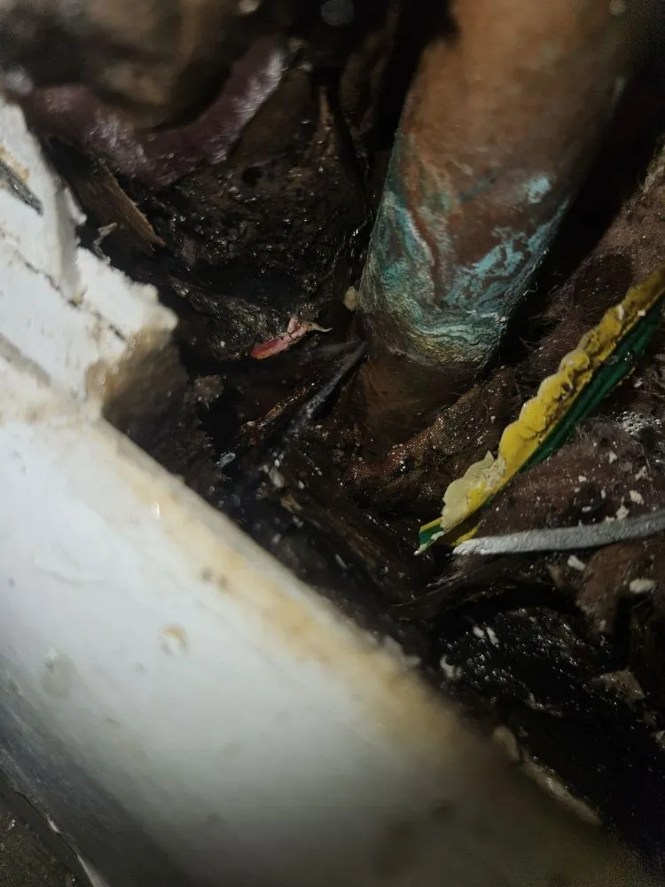 Slide of B&B Plumbing Repair