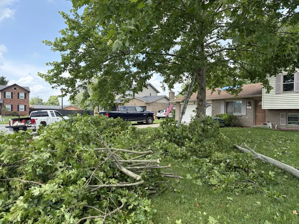 Slide of B&B Property Services