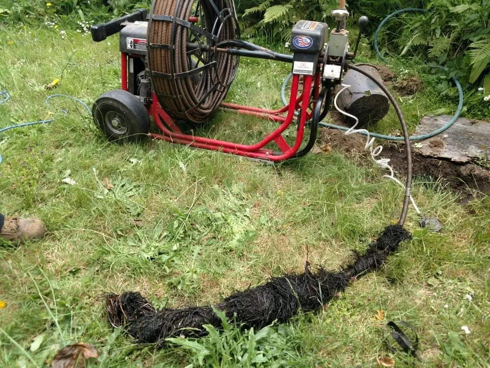 Slide of BC Drain Care