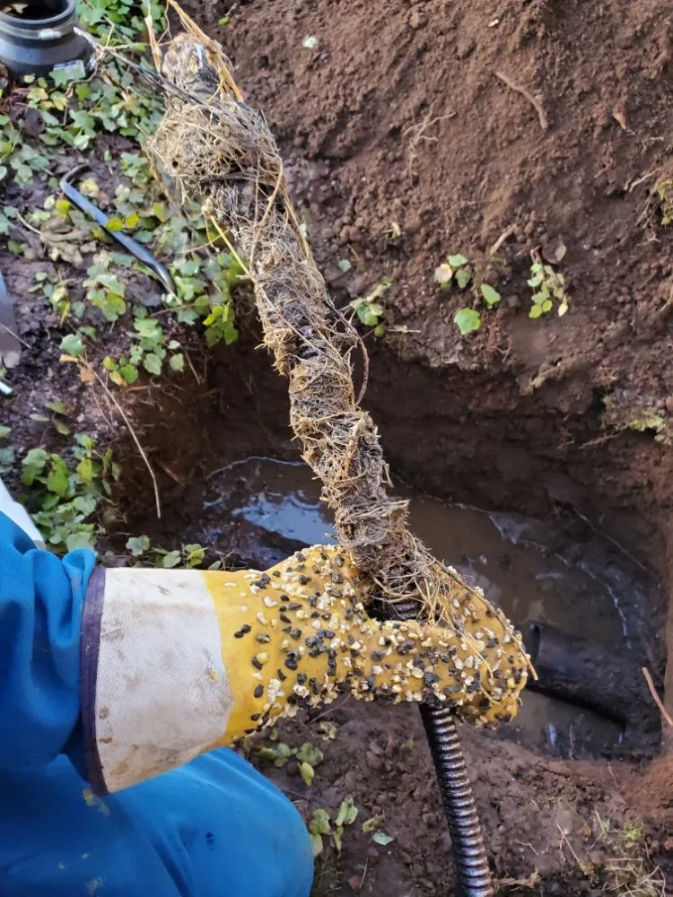 Slide of BC Drain Care