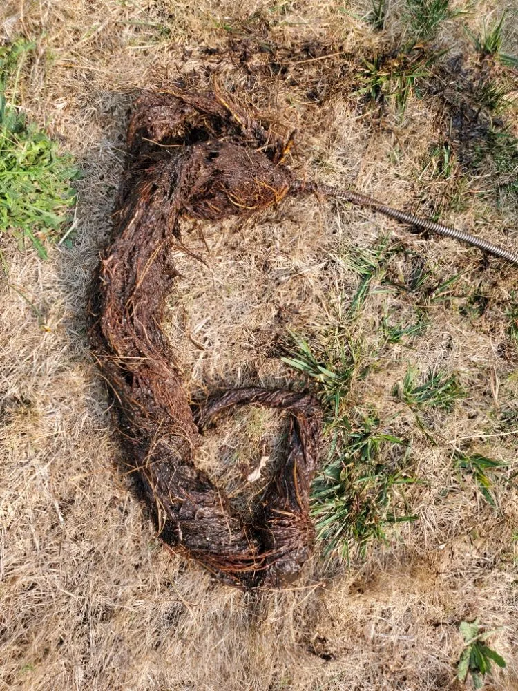 Slide of BC Drain Care