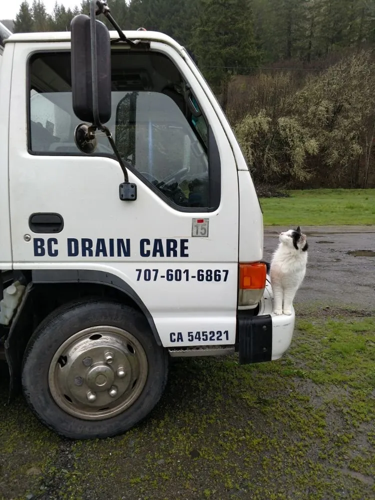 Slide of BC Drain Care