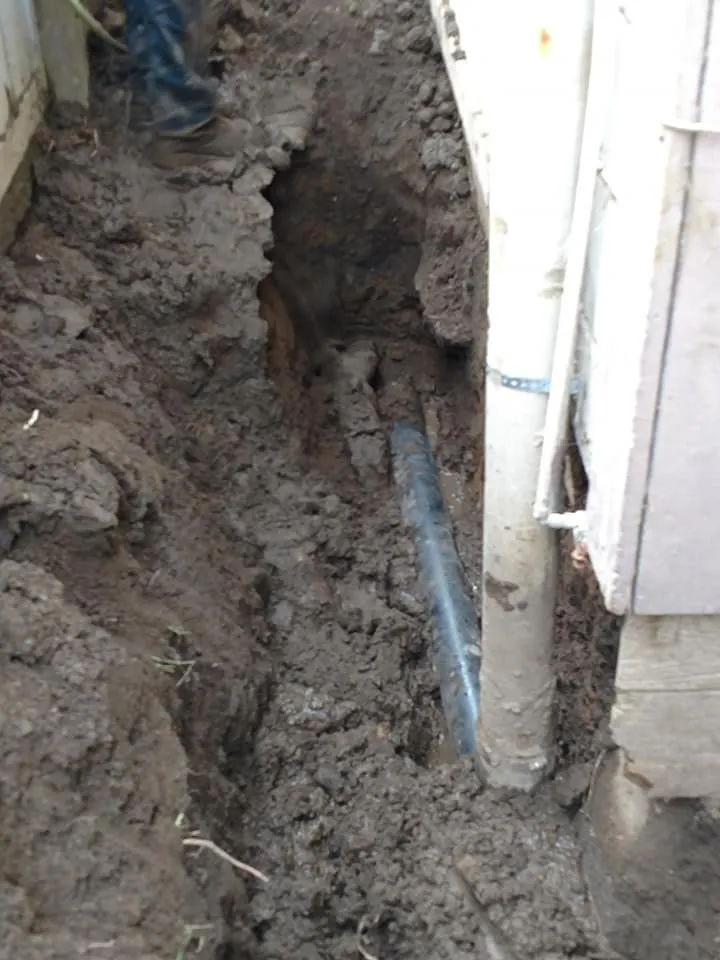 Slide of BC Drain Care