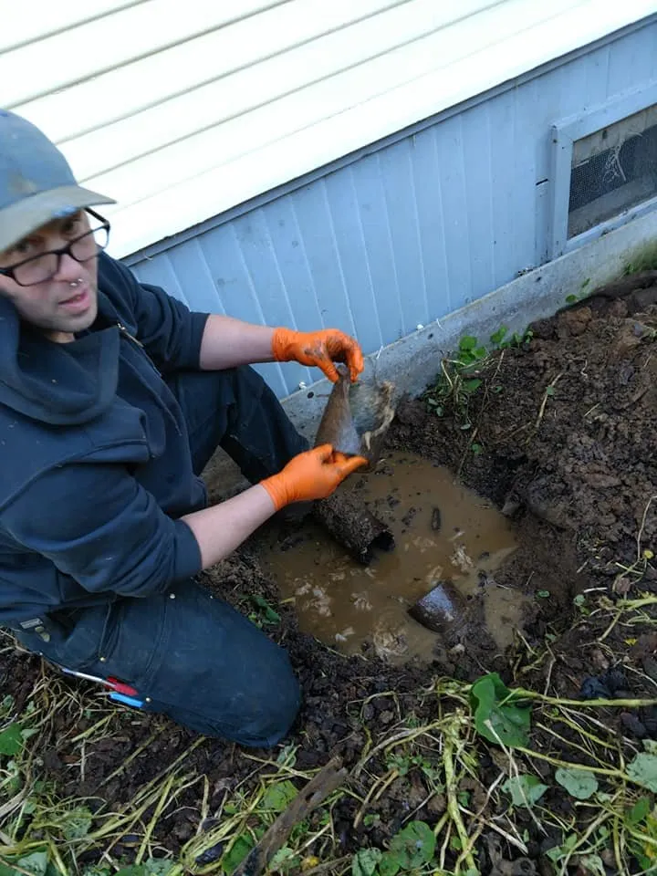 Slide of BC Drain Care