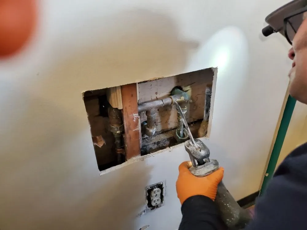 Slide of BC Drain Care