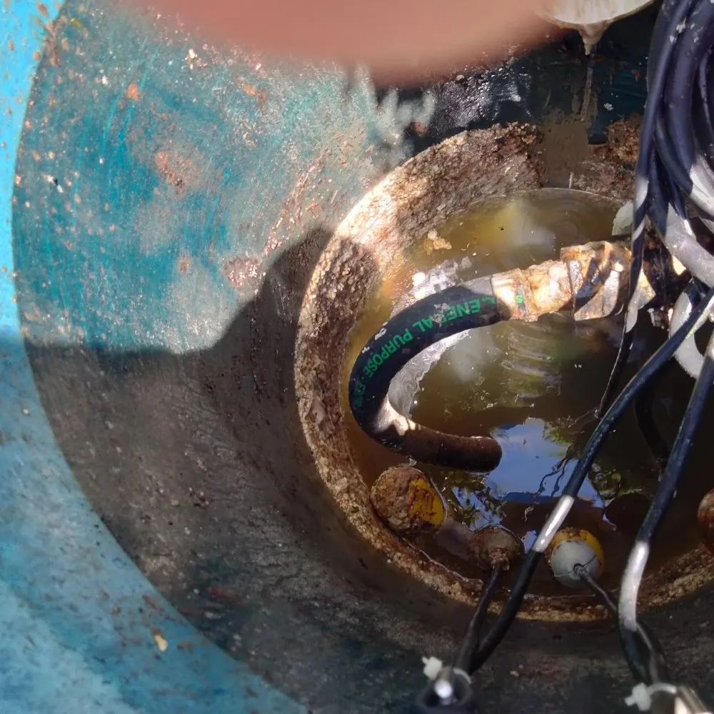 Slide of BC Environmental