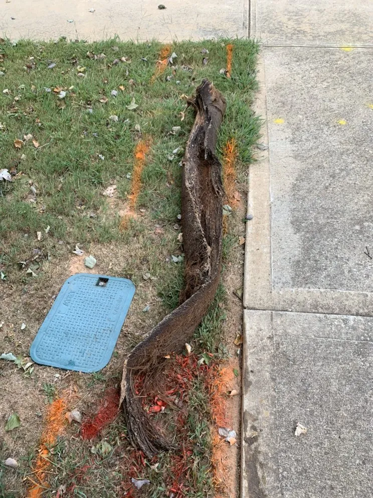 Slide of BC Plumbing