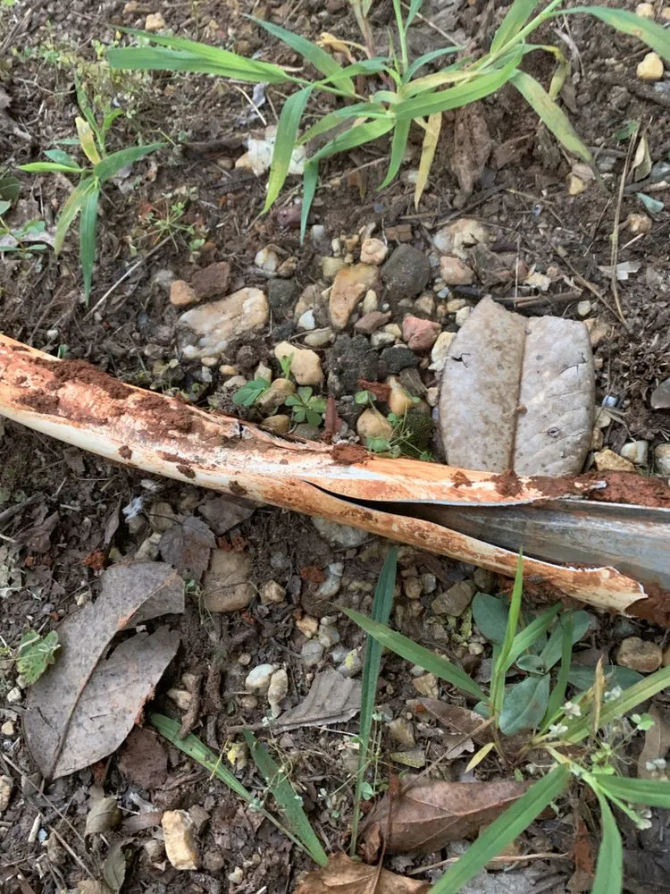 Slide of BC Plumbing