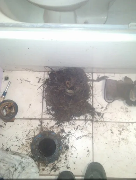 Top-rated emergency plumbing experts serving Salt Lake City, UT - B&e Rooter and Plumbing