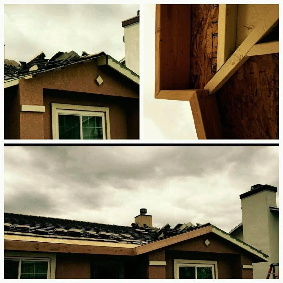 Slide of Beach Life Construction