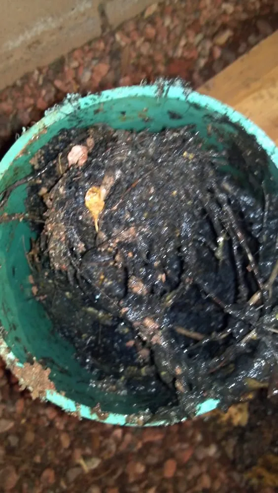 Slide of Beach Plumbing